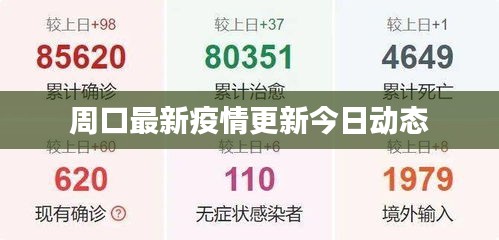 周口最新疫情更新今日動態(tài)