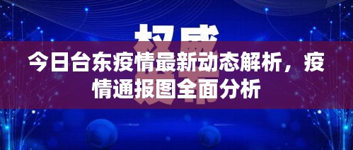 今日臺(tái)東疫情最新動(dòng)態(tài)解析，疫情通報(bào)圖全面分析