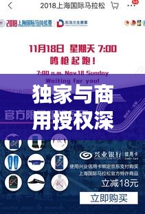 獨(dú)家與商用授權(quán)深度解析，商業(yè)授權(quán)模式的奧秘揭秘