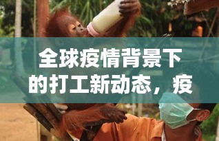 全球疫情背景下的打工新動(dòng)態(tài)，疫情無(wú)國(guó)界，打工新機(jī)遇揭秘