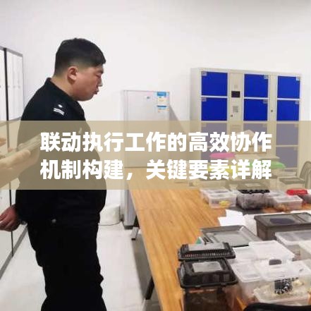 聯(lián)動執(zhí)行工作的高效協(xié)作機制構(gòu)建，關(guān)鍵要素詳解
