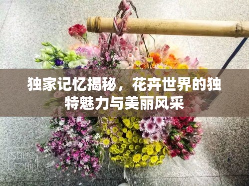 獨家記憶揭秘，花卉世界的獨特魅力與美麗風采