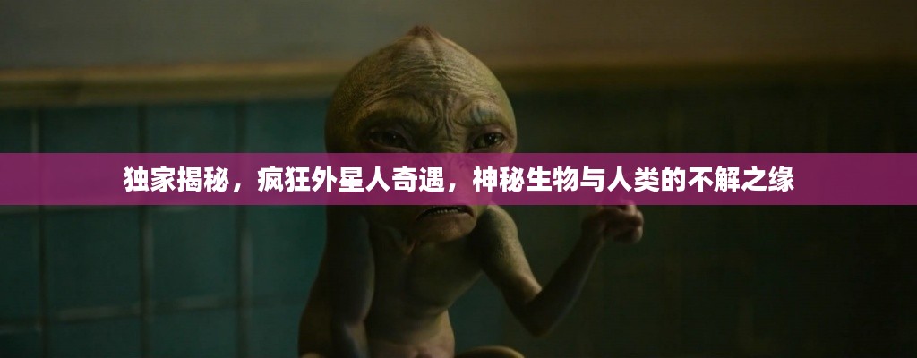 獨(dú)家揭秘，瘋狂外星人奇遇，神秘生物與人類的不解之緣