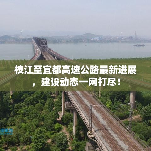 國色天姿 第2頁