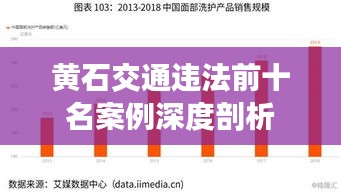 黃石交通違法前十名案例深度剖析