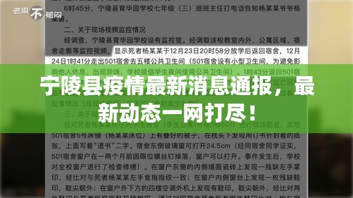 寧陵縣疫情最新消息通報(bào)，最新動(dòng)態(tài)一網(wǎng)打盡！