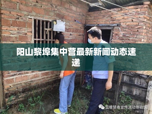 陽(yáng)山黎埠集中營(yíng)最新新聞動(dòng)態(tài)速遞