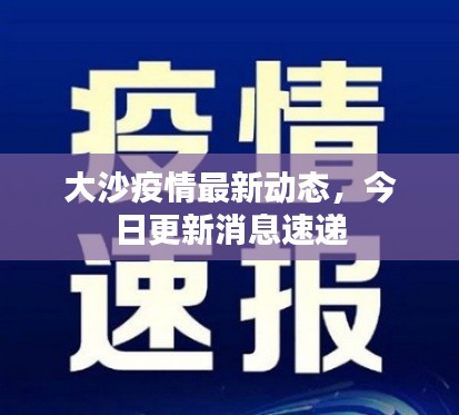 大沙疫情最新動態(tài)，今日更新消息速遞