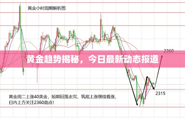 黃金趨勢(shì)揭秘，今日最新動(dòng)態(tài)報(bào)道