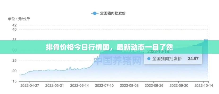排骨價格今日行情圖，最新動態(tài)一目了然
