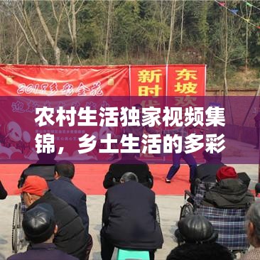 農(nóng)村生活獨(dú)家視頻集錦，鄉(xiāng)土生活的多彩瞬間
