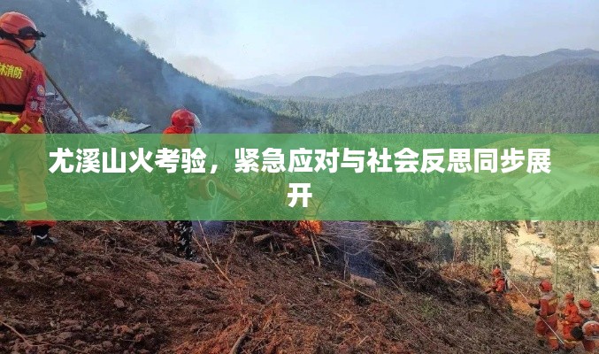 尤溪山火考驗(yàn)，緊急應(yīng)對(duì)與社會(huì)反思同步展開