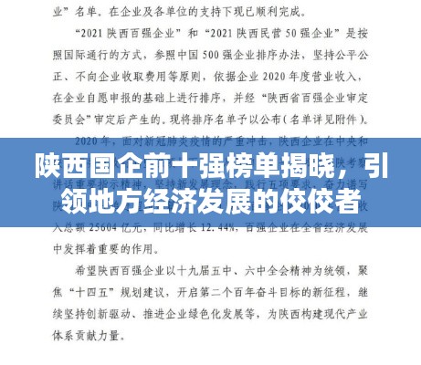 陜西國(guó)企前十強(qiáng)榜單揭曉，引領(lǐng)地方經(jīng)濟(jì)發(fā)展的佼佼者