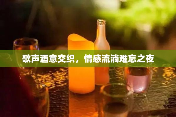 歌聲酒意交織，情感流淌難忘之夜