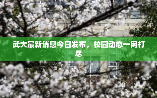 武大最新消息今日發(fā)布，校園動(dòng)態(tài)一網(wǎng)打盡