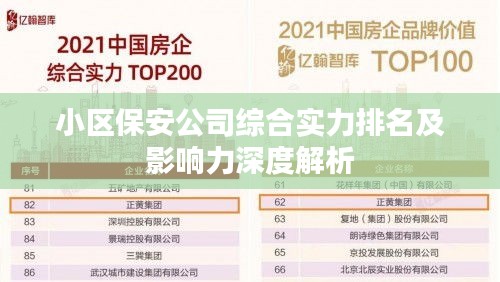 小區(qū)保安公司綜合實(shí)力排名及影響力深度解析