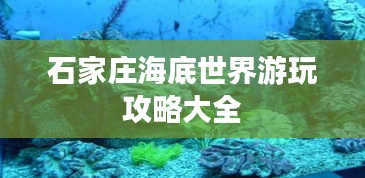 石家莊海底世界游玩攻略大全