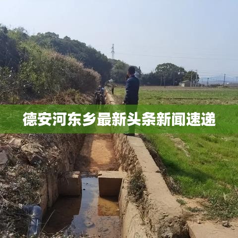 德安河?xùn)|鄉(xiāng)最新頭條新聞速遞