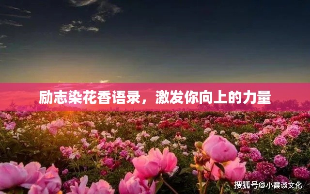 勵(lì)志染花香語(yǔ)錄，激發(fā)你向上的力量
