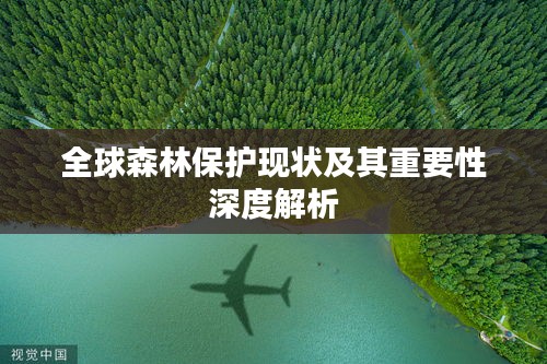 全球森林保護(hù)現(xiàn)狀及其重要性深度解析