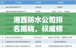 湘西防水公司排名揭曉，權(quán)威榜單，優(yōu)質(zhì)企業(yè)一網(wǎng)打盡！