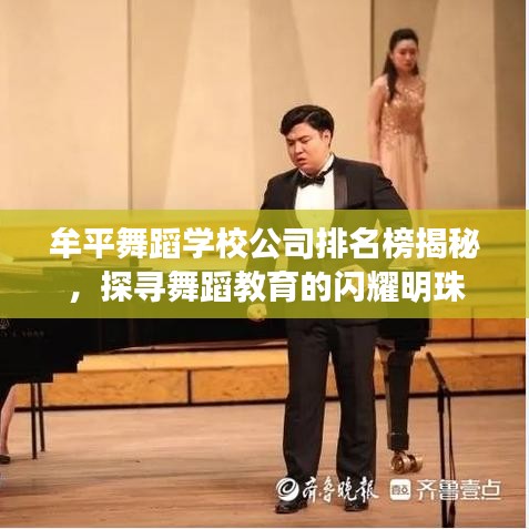 牟平舞蹈學(xué)校公司排名榜揭秘，探尋舞蹈教育的閃耀明珠