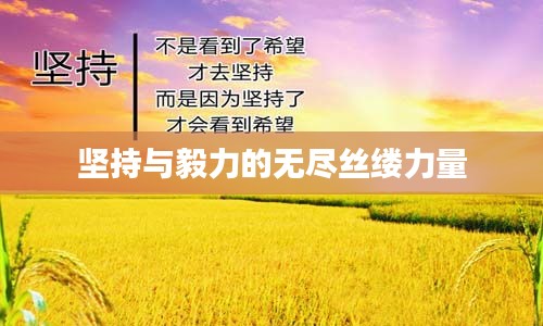 堅(jiān)持與毅力的無盡絲縷力量
