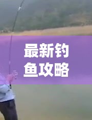 最新釣魚攻略視頻匯總，釣魚愛好者必看的福音指南