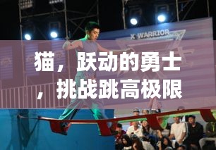 貓，躍動的勇士，挑戰(zhàn)跳高極限！