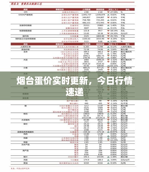 煙臺(tái)蛋價(jià)實(shí)時(shí)更新，今日行情速遞