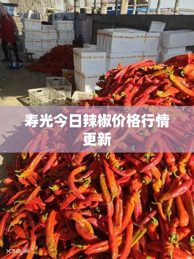 壽光今日辣椒價(jià)格行情更新