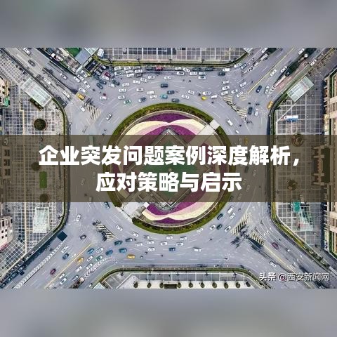 企業(yè)突發(fā)問題案例深度解析，應對策略與啟示