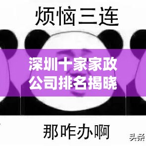 深圳十家家政公司排名揭曉，行業(yè)影響力不容小覷