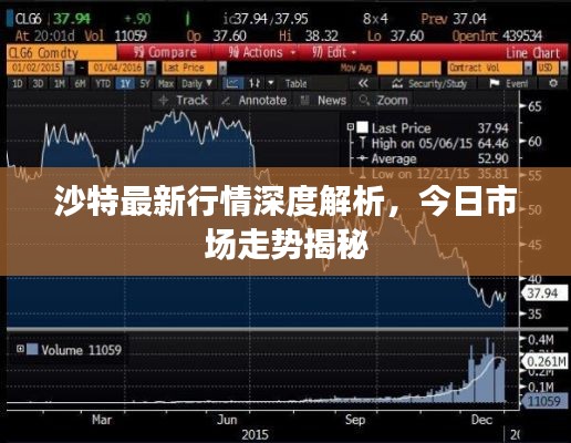 沙特最新行情深度解析，今日市場(chǎng)走勢(shì)揭秘
