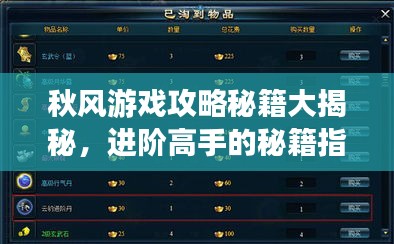 秋風(fēng)游戲攻略秘籍大揭秘，進(jìn)階高手的秘籍指南！