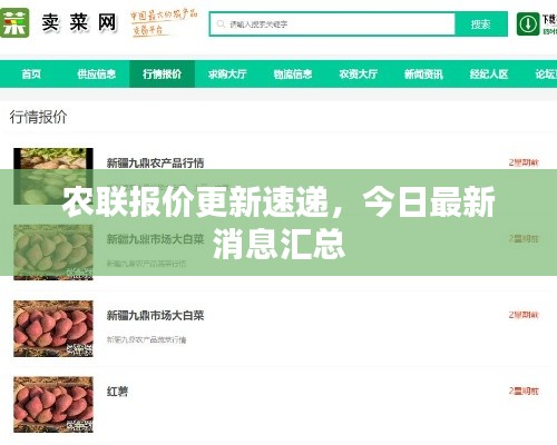 農(nóng)聯(lián)報(bào)價(jià)更新速遞，今日最新消息匯總