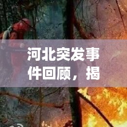 河北突發(fā)事件回顧，揭秘2016年突發(fā)事件全貌
