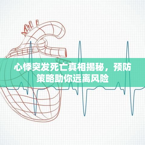 心悸突發(fā)死亡真相揭秘，預(yù)防策略助你遠(yuǎn)離風(fēng)險(xiǎn)