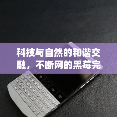 科技與自然的和諧交融，不斷網(wǎng)的黑莓完美體驗