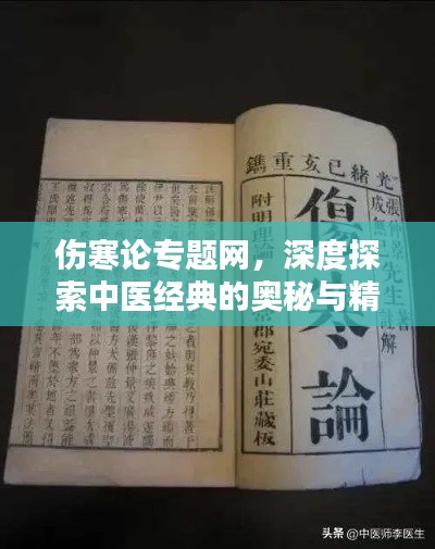 傷寒論專題網(wǎng)，深度探索中醫(yī)經(jīng)典的奧秘與精髓
