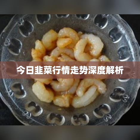 今日韭菜行情走勢(shì)深度解析