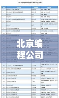 北京編程公司排名揭曉，權(quán)威榜單，優(yōu)質(zhì)企業(yè)一網(wǎng)打盡！