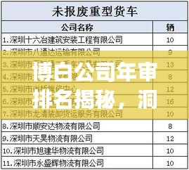 博白公司年審排名揭秘，洞悉企業(yè)穩(wěn)健發(fā)展的驅(qū)動力
