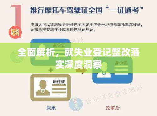 不飛則已
