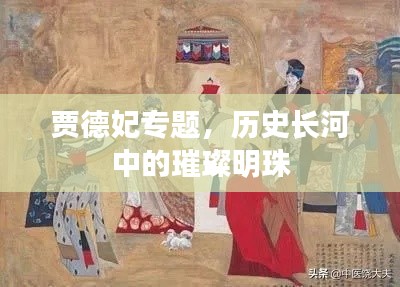賈德妃專(zhuān)題，歷史長(zhǎng)河中的璀璨明珠