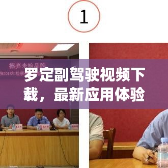 羅定副駕駛視頻下載，最新應(yīng)用體驗(yàn)與便捷獲取指南