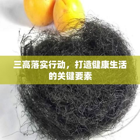 三高落實行動，打造健康生活的關(guān)鍵要素