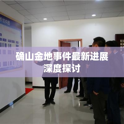 確山金地事件最新進(jìn)展深度探討