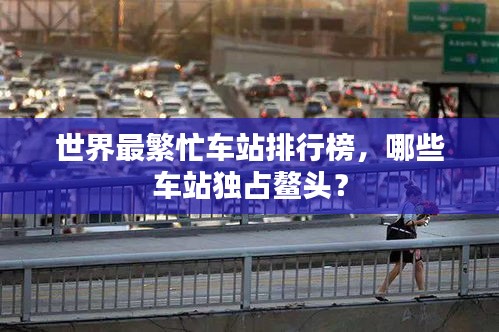 世界最繁忙車站排行榜，哪些車站獨(dú)占鰲頭？
