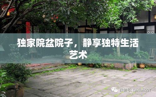 獨(dú)家院盆院子，靜享獨(dú)特生活藝術(shù)